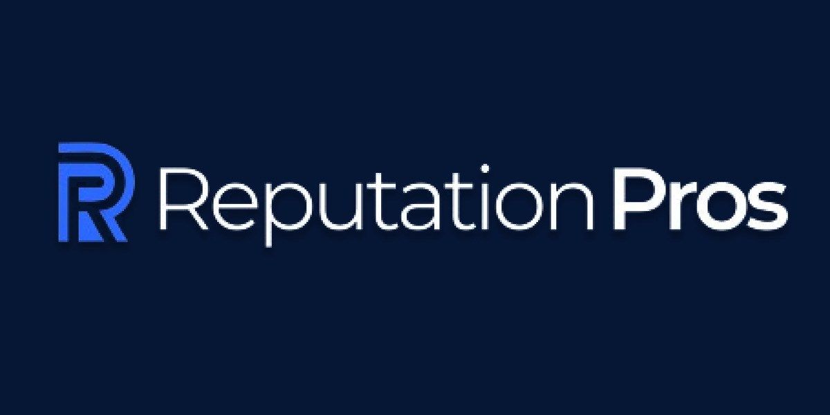 Reputation Pros Named Best Online Reputation Management Services for 2025 as Brands Prioritize Pushing Down Negative Google Results